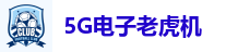 5G电子老虎机